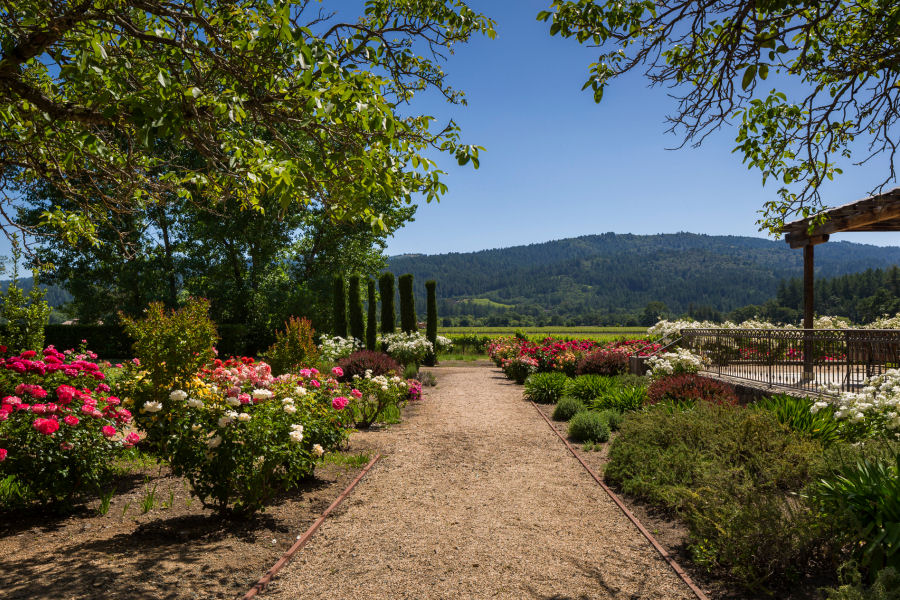 Villa Rental in Napa, CA